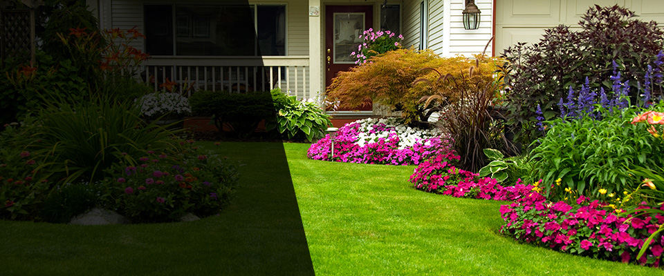 Niantic Landscapers