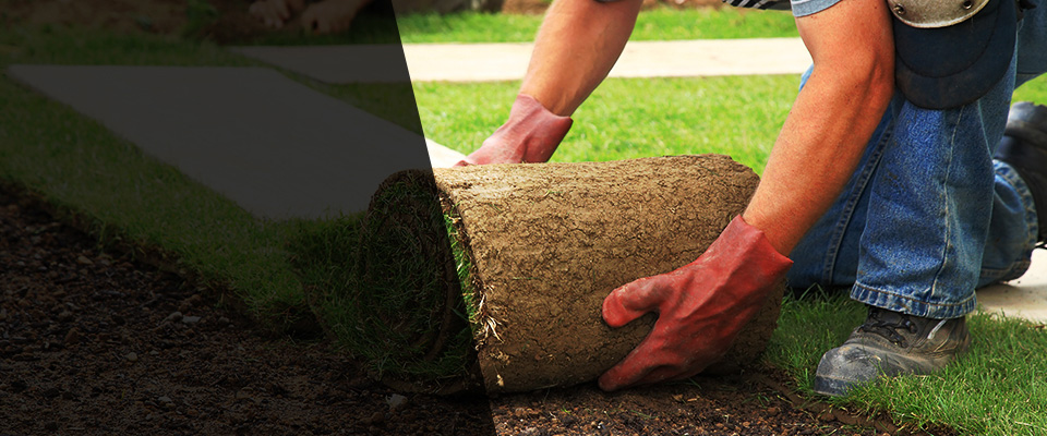 Niantic Landscapers